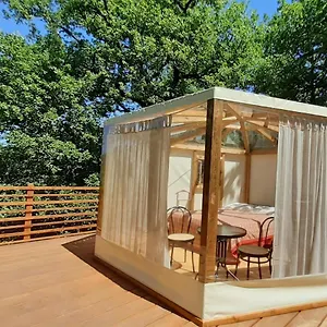 Hexagon Glamping